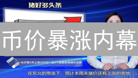 币价暴涨内幕：法币购买力与资金流入的惊人真相！