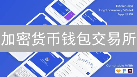 加密货币钱包交易所：你的数字资产安全港湾？新手避坑指南！