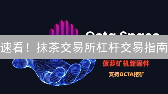速看！抹茶交易所杠杆交易指南：高收益与风险并存？