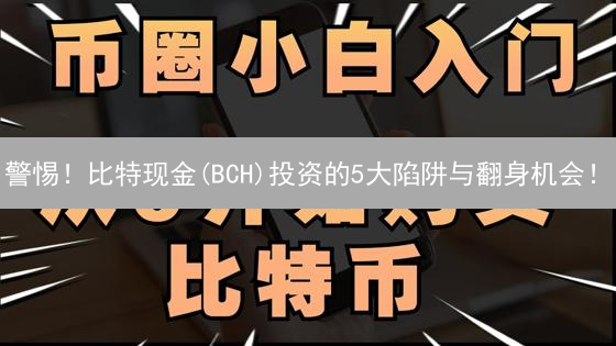 警惕！比特现金(BCH)投资的5大陷阱与翻身机会！