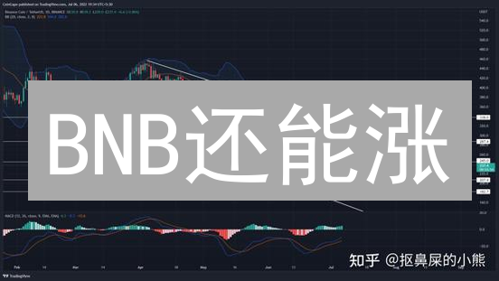 BNB还能涨？揭秘币安币未来潜力！速看！