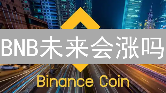 BNB未来会涨吗？币安币应用场景深度解析与价格预测！