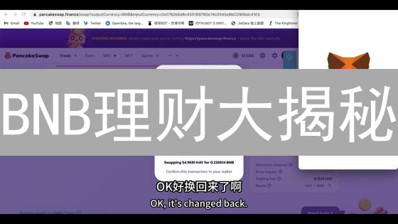 BNB理财大揭秘：如何玩转币安币增值？稳赚不赔？