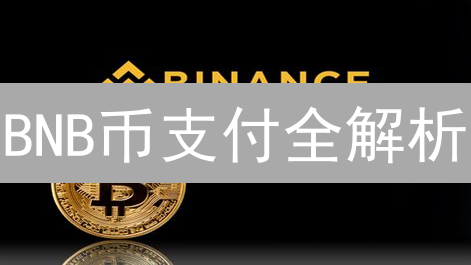 BNB币支付全解析：降低成本，加速交易，安全便捷！