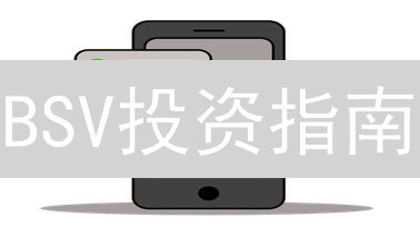 BSV投资指南：新手也能轻松入门？揭秘高收益风险！