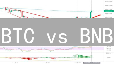 BTC vs BNB：谁更胜一筹？揭秘加密货币的未来！