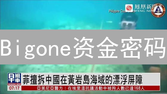 Bigone资金密码：如何锁住你的加密资产？（2024最全指南）