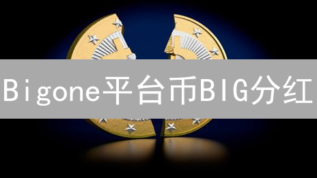 Bigone平台币BIG分红：收益最大化策略与风险揭秘