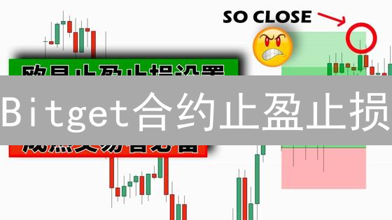 Bitget合约止盈止损：一招鲜吃遍天？实战指南来了！