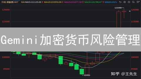 Gemini加密货币风险管理：10倍提升交易安全性！