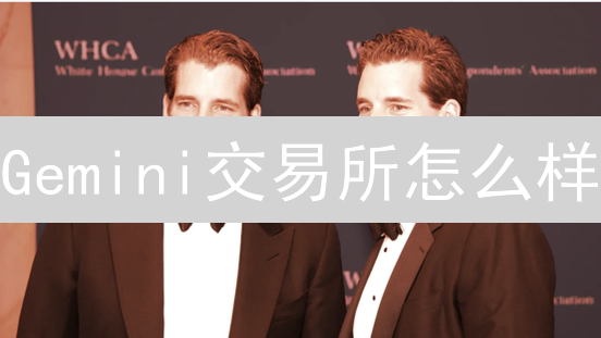 Gemini交易所怎么样？2024年Gemini注册/交易/安全指南