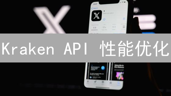  Kraken API 性能优化：如何提升 10 倍效率？专家秘籍在此！