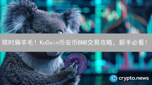 限时薅羊毛！KuCoin币安币BNB交易攻略，新手必看！