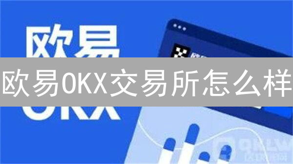 欧易OKX交易所怎么样？2024年投资哪些潜力币种？新手入门指南！