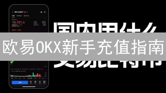欧易OKX新手充值指南：5分钟学会，告别资金迷路！