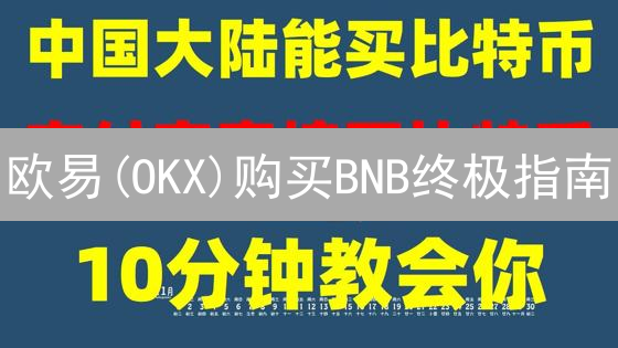 欧易(OKX)购买BNB终极指南：策略、风险与长线投资！
