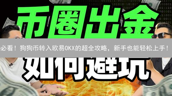 必看！狗狗币转入欧易OKX的超全攻略，新手也能轻松上手！
