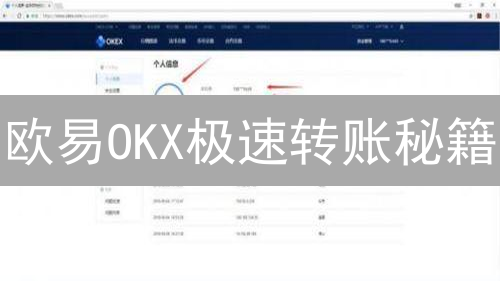 欧易OKX极速转账秘籍：新手速成，老手优化，资金秒到账！