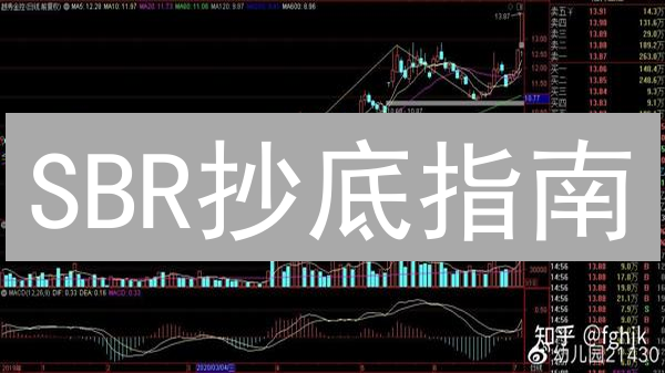 SBR抄底指南：抓住Solana生态DeFi潜力！