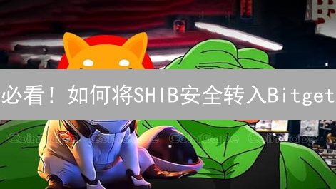 必看！如何将SHIB安全转入Bitget？5分钟搞定充值！