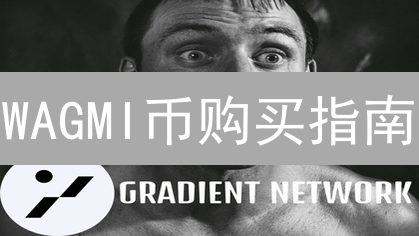 WAGMI币购买指南：避坑指南与最佳购买平台！