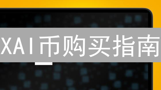 XAI币购买指南：交易所 vs. DEX，哪个更适合你？【2024最新】